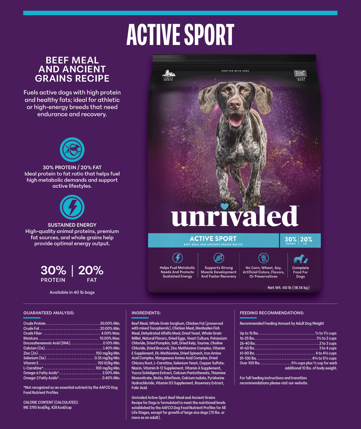 Active Sport