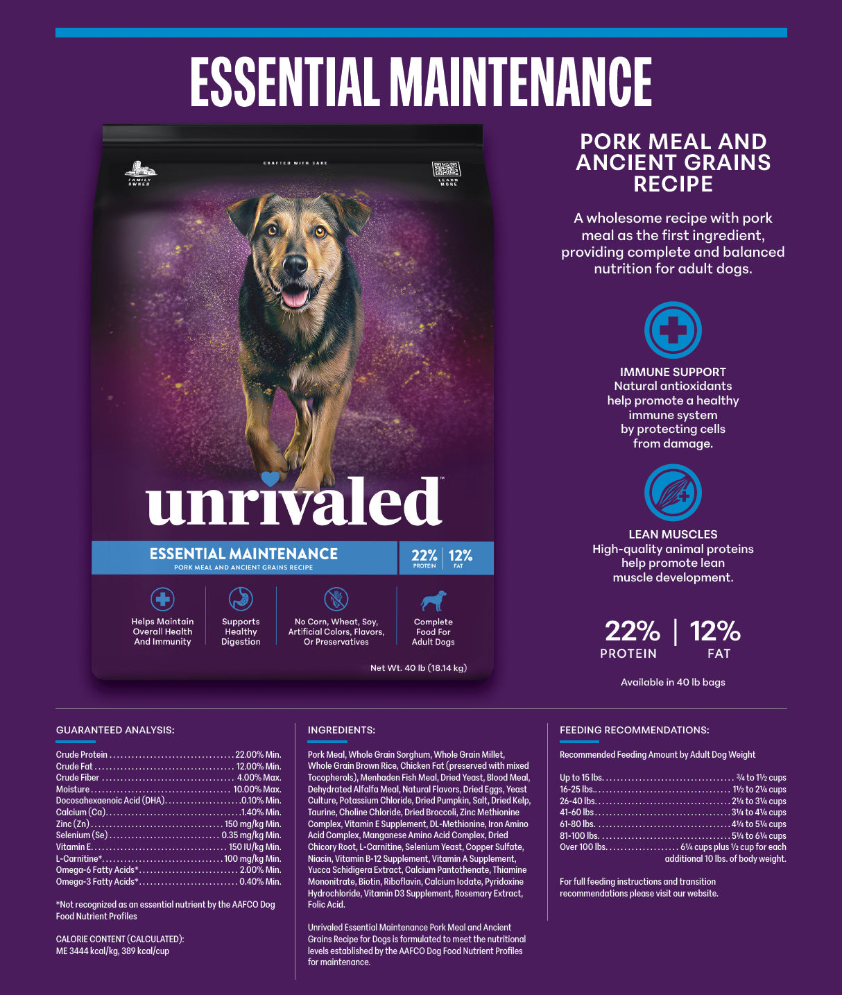 Essential Maintenance