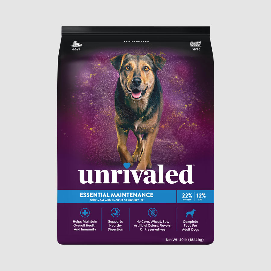 Essential Maintenance