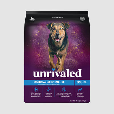 Essential Maintenance